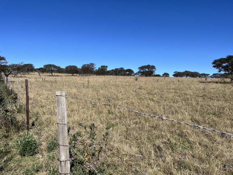 0 Bedroom Property for Sale in Stutterheim Rural Eastern Cape